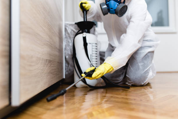 Best Emergency Pest Control  in Deerfield, MI