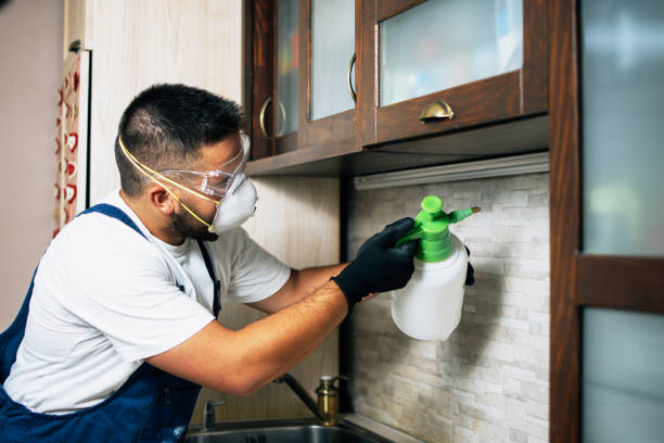 Best Best Pest Control Companies  in Deerfield, MI