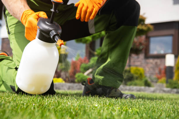 Best Cockroach Control Services  in Deerfield, MI
