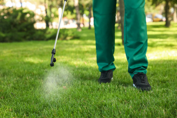 Best Rat Extermination Near Me  in Deerfield, MI