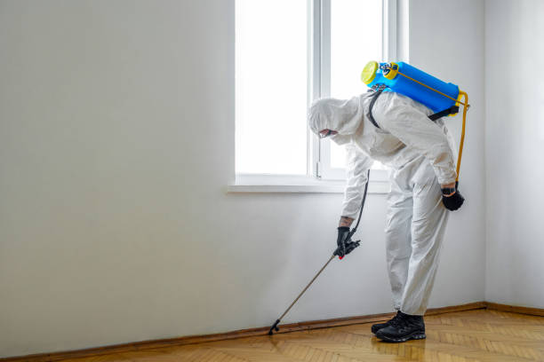 Best Emergency Pest Control  in Deerfield, MI