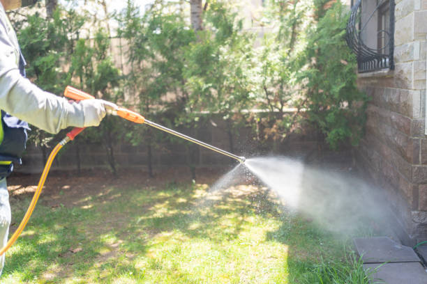 Best Mosquito Control Services  in Deerfield, MI
