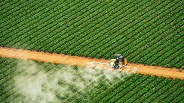 Best Pest Control Treatment  in Deerfield, MI