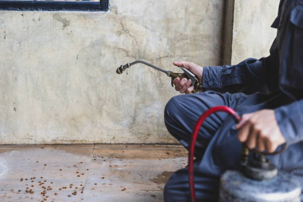 Professional Pest Control in Deerfield, MI