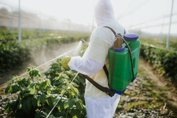 Best Pest Removal Services  in Deerfield, MI